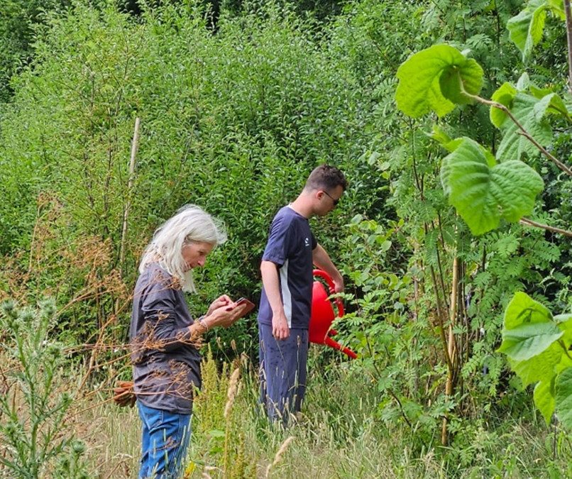 Out and About in the Local Wetlands