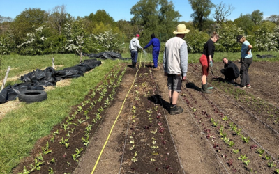 Grow Farm 2025-2026