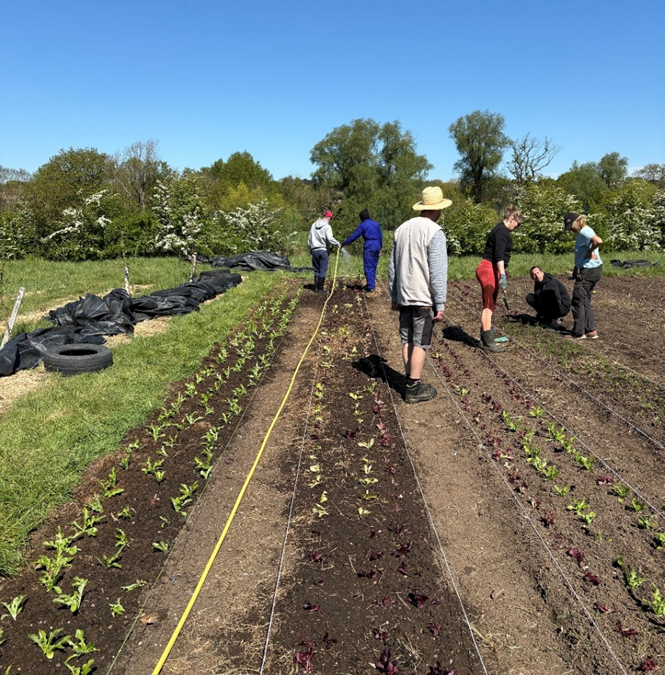 Grow Farm 2025-2026